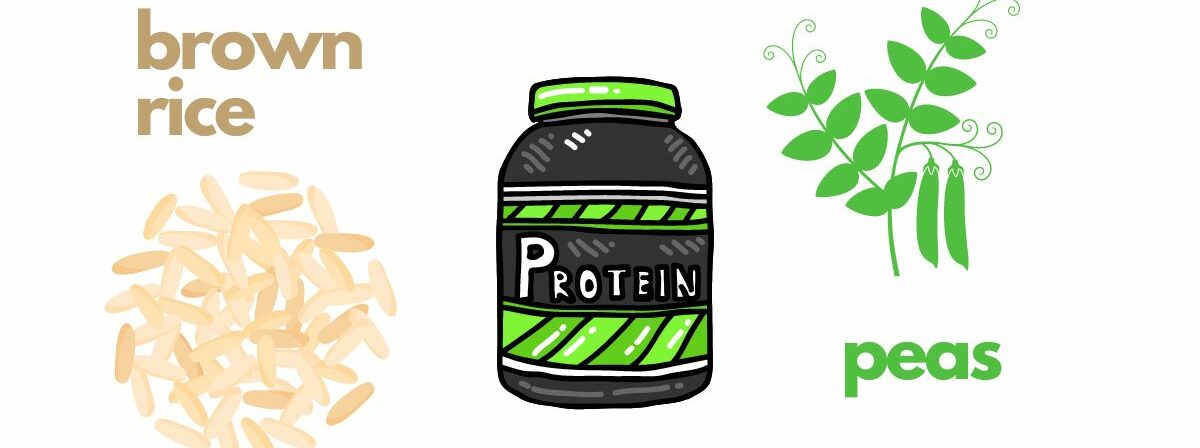 What Is The Best Vegan Protein Powder