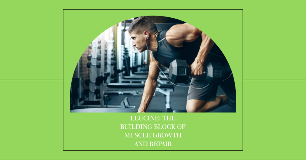 Leucine: The Building Block Of Muscle Growth