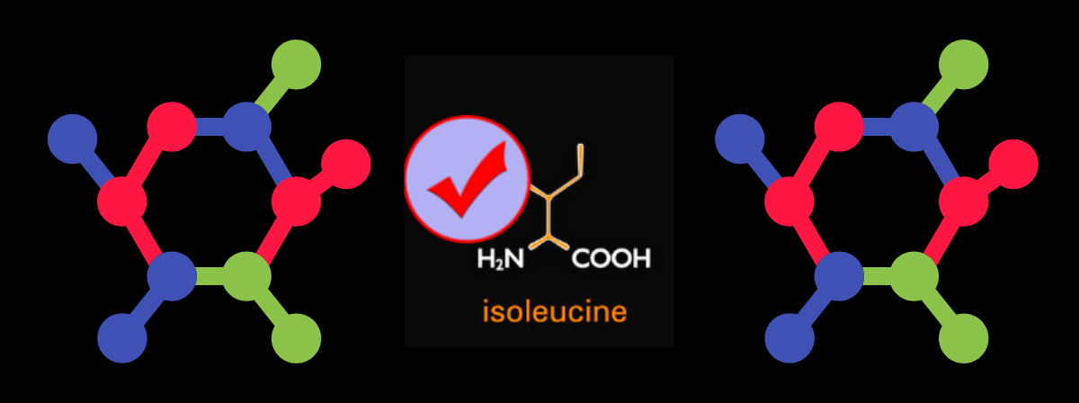 isoleucine1